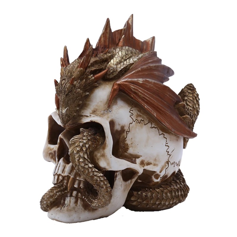 Patung Resin Naga Tengkorak -  - Art Craft Bar ulasan dan harga
