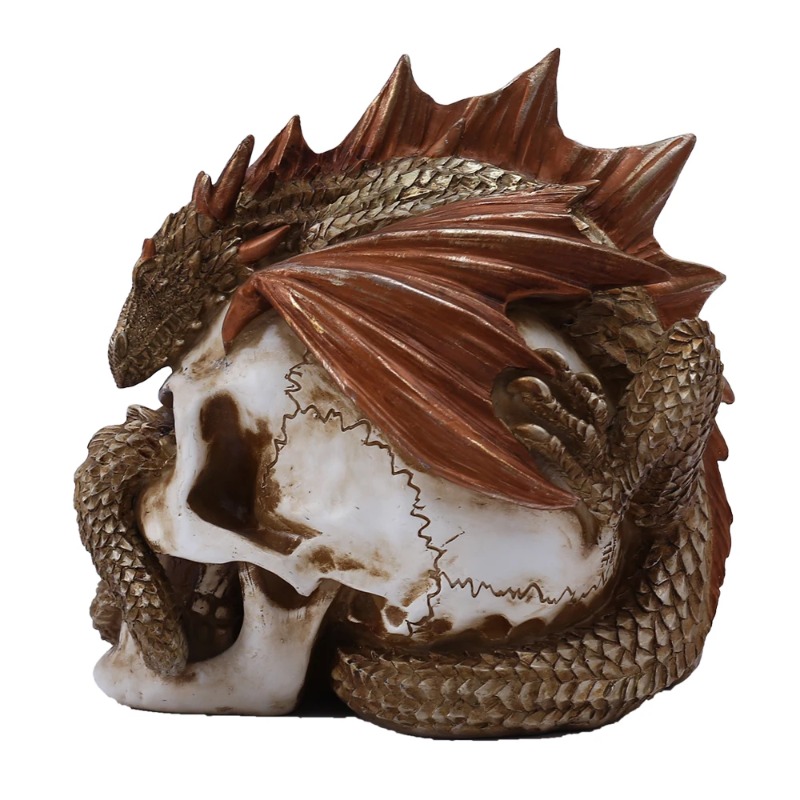 Patung Resin Naga Tengkorak -  - Art Craft Bar ulasan dan harga