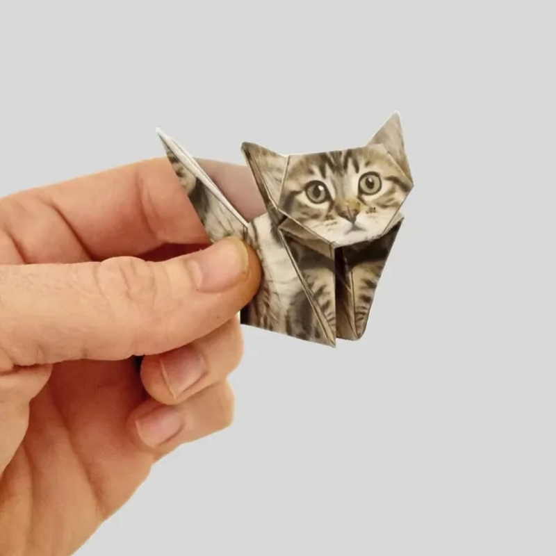 Kertas Origami DIY Kreatif 50  - Art Craft Dinosaurs ulasan dan harga